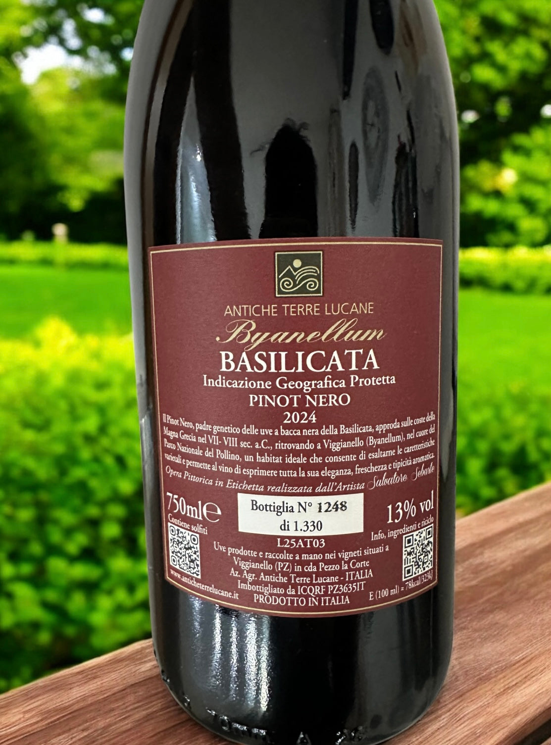 Byanellum - PINOT NERO IGP BASILICATA - Vino ROSSO bottiglia in vetro 0,75L