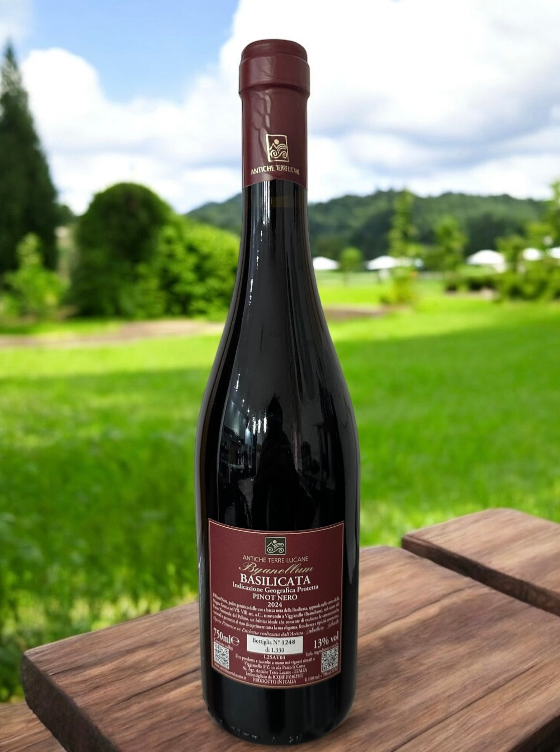 Byanellum - PINOT NERO IGP BASILICATA - Vino ROSSO bottiglia in vetro 0,75L